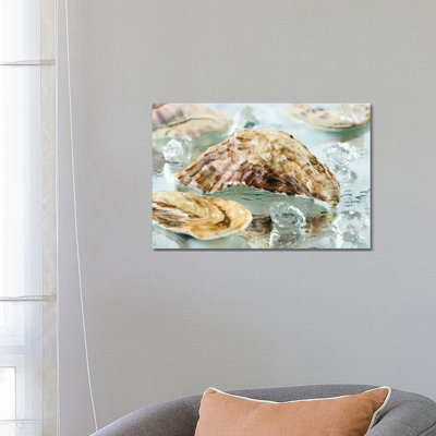 Oyster Shell by Depositphotos - Wrapped Canvas Gallery-Wrapped Canvas Giclée
