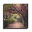 «Arch of Trees» par Colby Chester, art mural en métal, 12 po x 12 po-1390862828