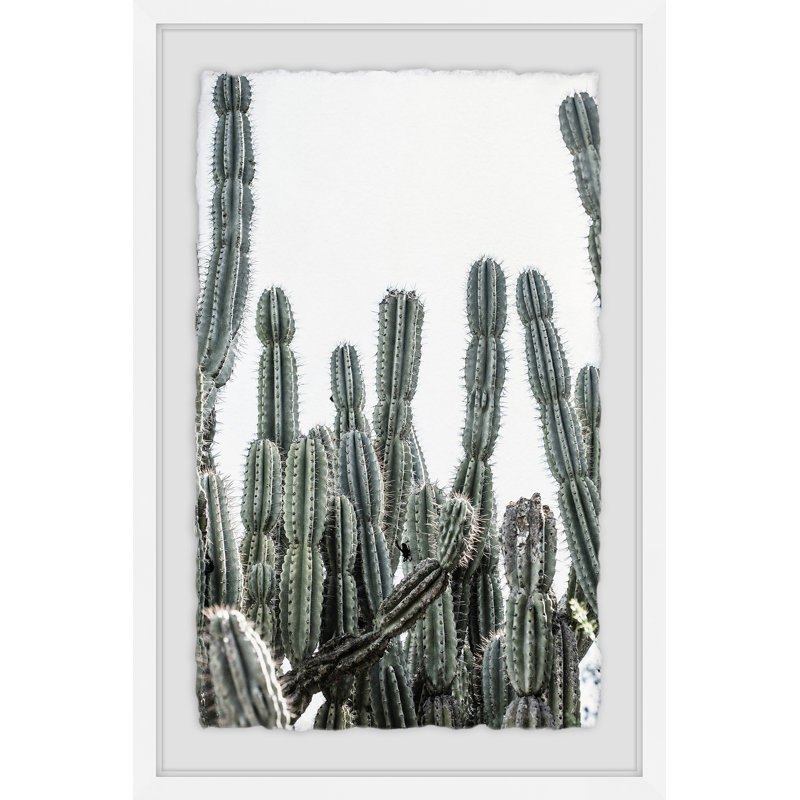 Cactus Jungle II 1 Piece Single Picture Frame Wall Art, 91cm H x 61cm W