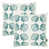 Sage/White Small Sea Shell