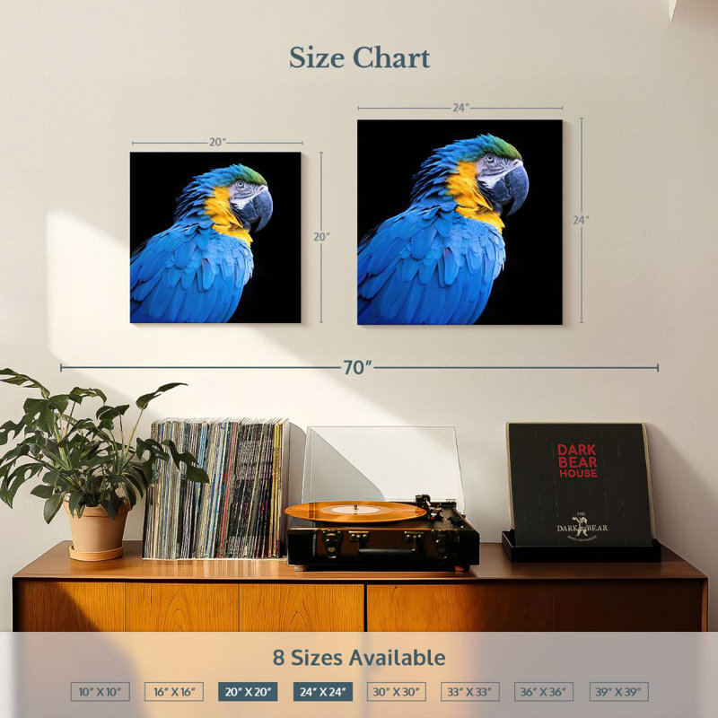 Brampt Neotropical Blue Macaw, 20" H x 20" W
