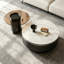 Table basse French Minimalist Luxury-94212768-94212770