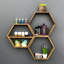 Kasandra 6 Piece Solid Wood Floating Shelf with Adjustable Shelves
