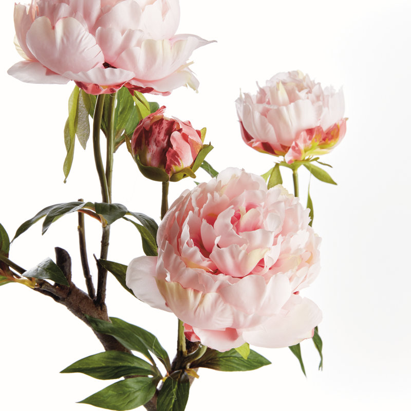 PEONY BRANCH 25inch, Rose
