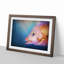 Pink Snapper Fish - Picture Frame Painting Print-55584079-55584083