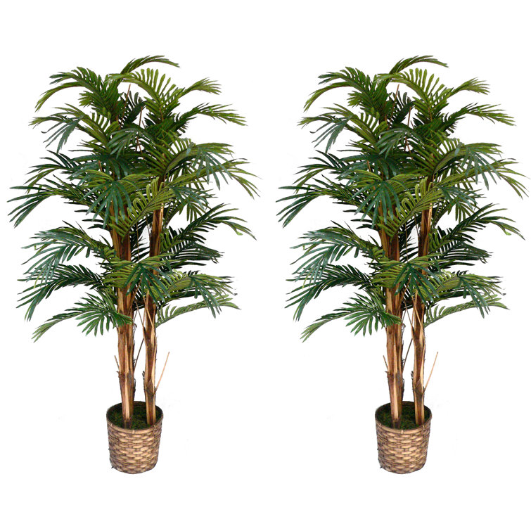 60" Artificial Palm Tree in Planter Set