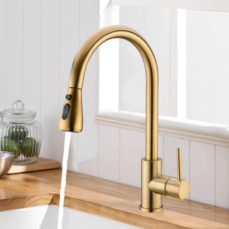 Fairmont Park Nerbone Pull Out Kitchen Faucet