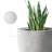 Karola Pot Planter-1208953844-1208953840