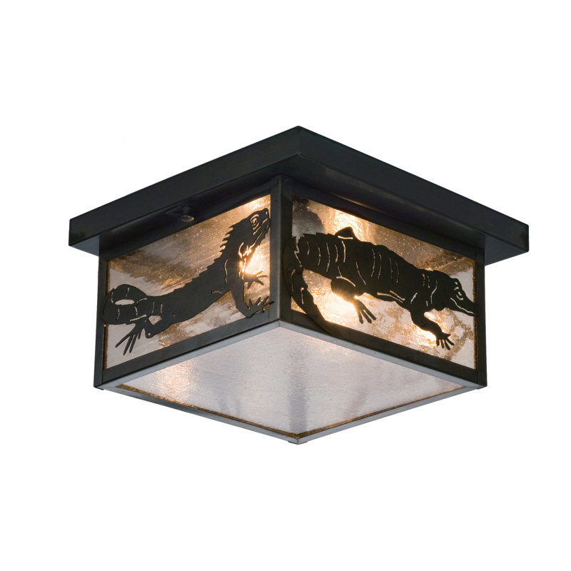 2 - Light Flush Mount, Clear/Black