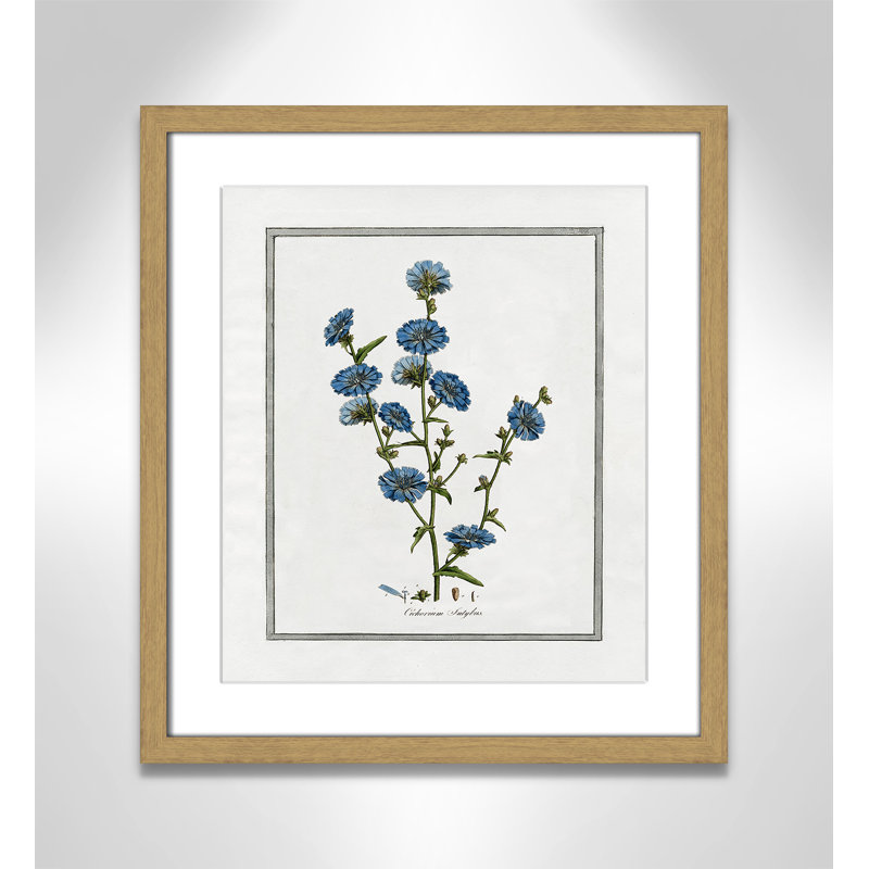Colombe Soft Botanical I - Art encadré avec fond perdu, L 13 po x H 15 po, Cadre naturel