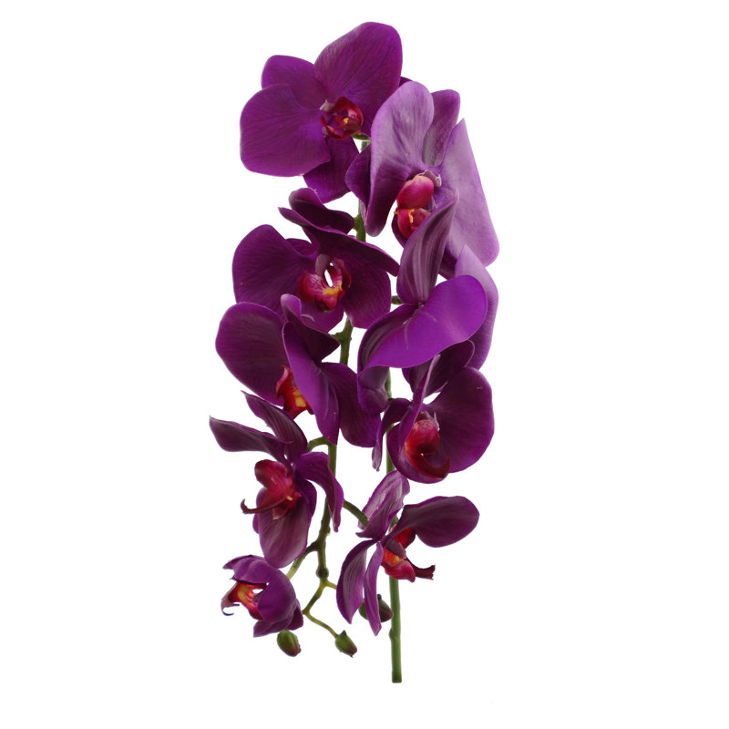 Tige d'orchidée phalaenopsis, Mauve, 6