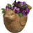 Derwin Pot Planter-1359998634-1359998637