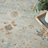 Louque Oriental Indoor Rug-1275151173