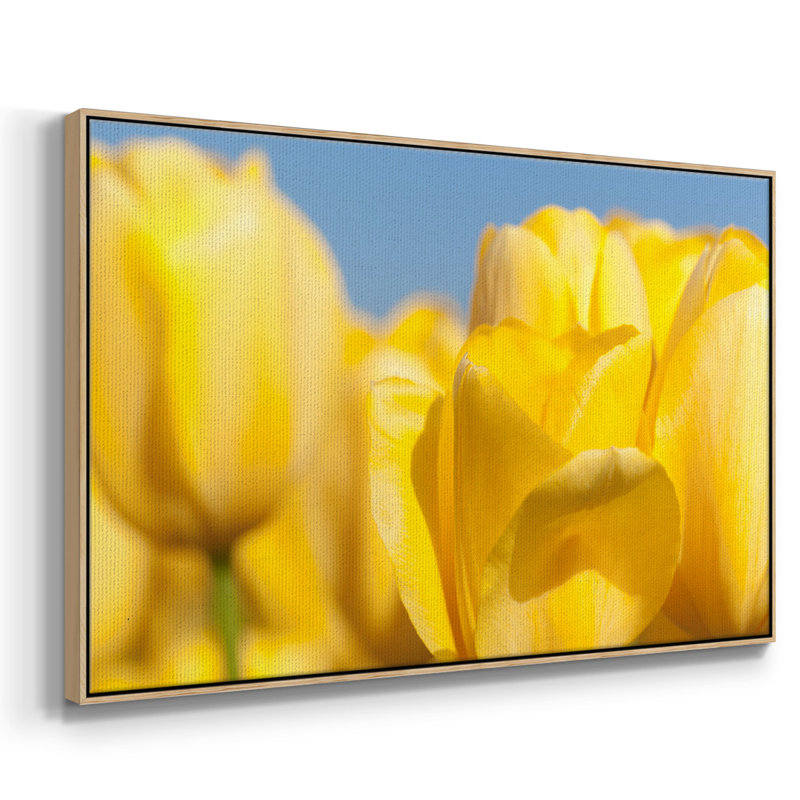 Sunshine Yellow I, reproduction d'art sur toile, H 27 po x l 41 po x P 2 po, Naturel