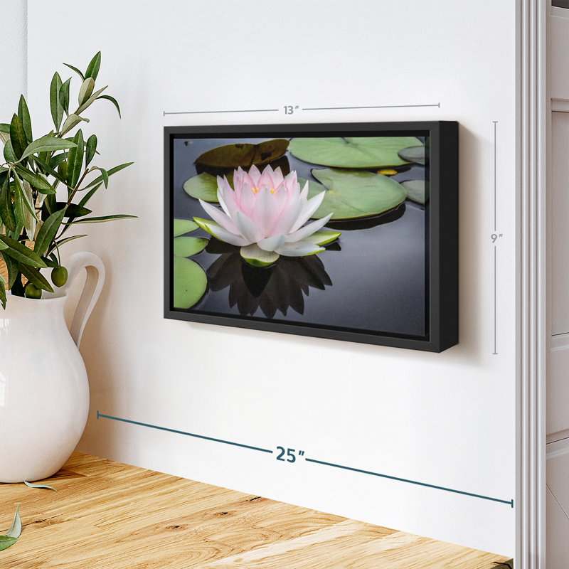 Floral et botanique «Lotus rose blanc», H 9 po x l 13 po