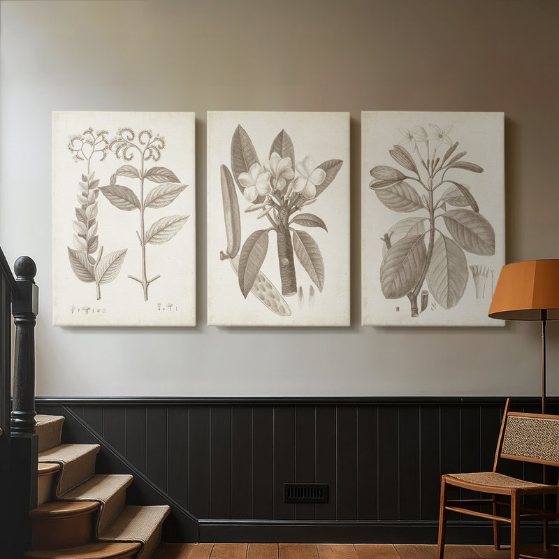 Antique sépia botanicals VI - Toile tendue avec châssis sur mesure - 3 pièces, H 27 po x l 54 po