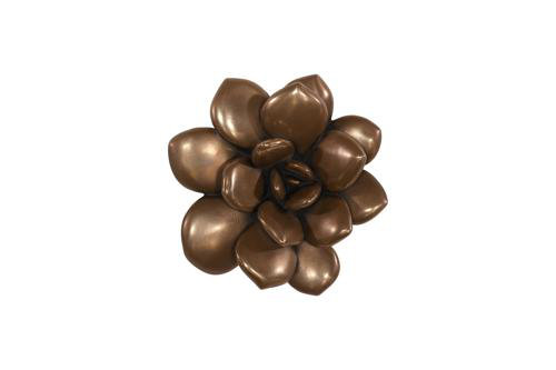 Laui Succulent Wall Art, Imperial Bronze