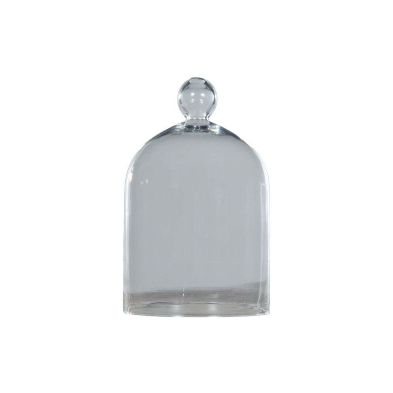 Glass Cloche Spice, Salt