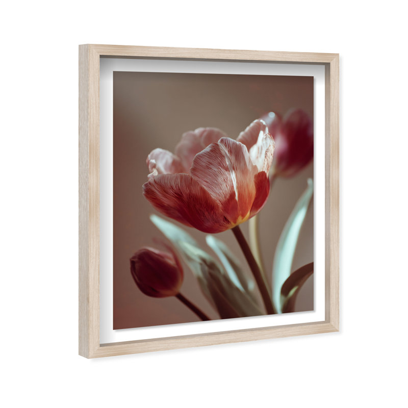 Muse of Spring Framed Graphic Art, 37.5"H x 31.5"W, Natural Oak Shadowbox