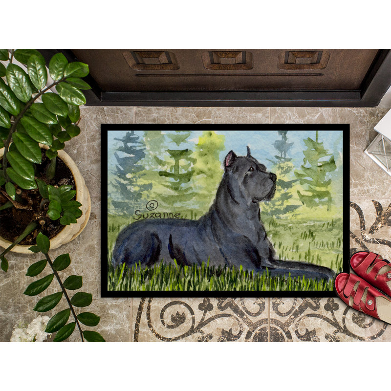 Tapis d'entrée antidérapant Kehrli, Rectangle 2 pi x 3 pi