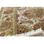 Wool Oriental Area Rug