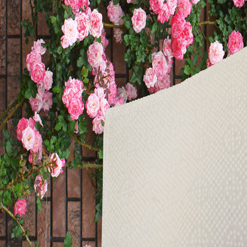 Luxurious 3D Printed Woven Carpet, 55.1 x 86.6 inches | 100% Polyester, Antibacterial, Machine Washable | Non-Slip PVC Felt Dot Underside, 0.3 in Pile Height | Perfect for Living Room, Bedroom & Home Decor