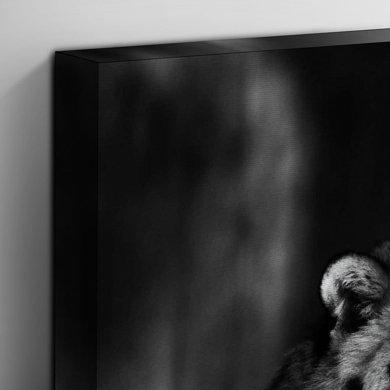 Photographic - Wrapped Canvas, 50cm H x 76cm W