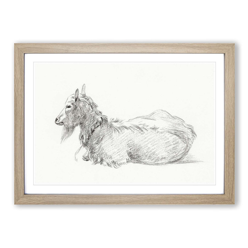 A Resting Goat by Jean Bernard - Single Picture Frame Print, Oak Framed, 45cm H x 63cm W x 2cm D