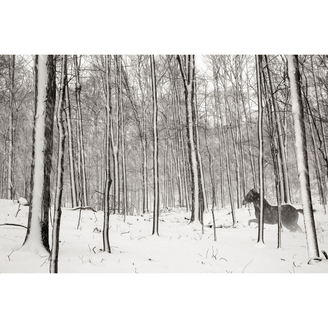 Leinwandbild A Snowy Walk II von James McLoughlin