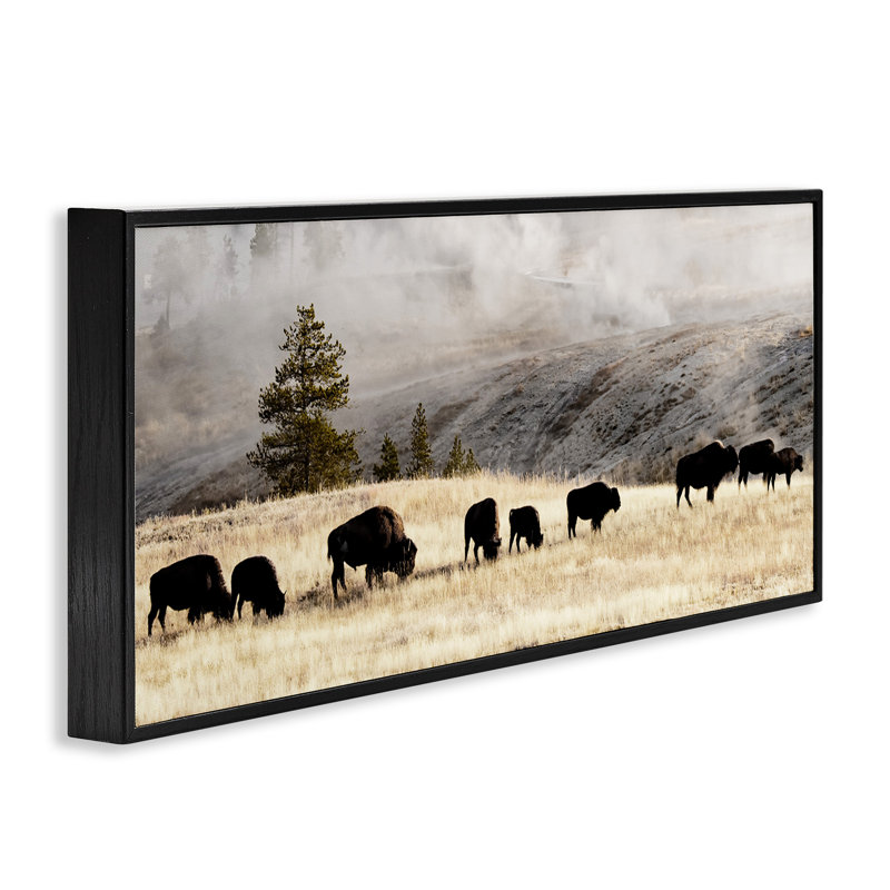 «Gison» par Danita Delimont, Giclée encadrée noir minuit, H 10 po x l 24 po