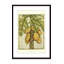 Green Spruce Artificial Christmas Tree-1887391461