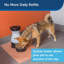 Healthy Pet Food Station Automatic Feeder-53538215-53538216