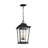 Warren Hanging Lantern
