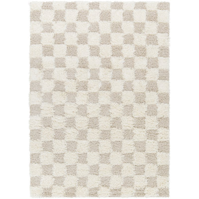Molly Shag Checkered Indoor Rug