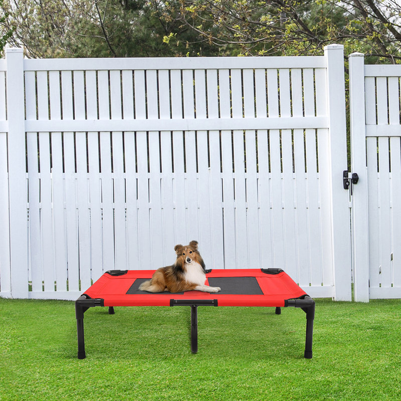 Bundy Elevated Cot, Small (31" W x 27" D x 7" H), Red