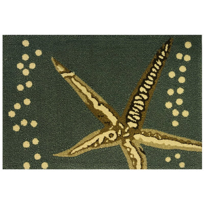 Étoile de mer_25388