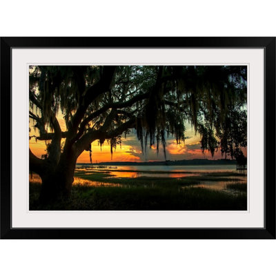Mccaw " Savannah Evening "
