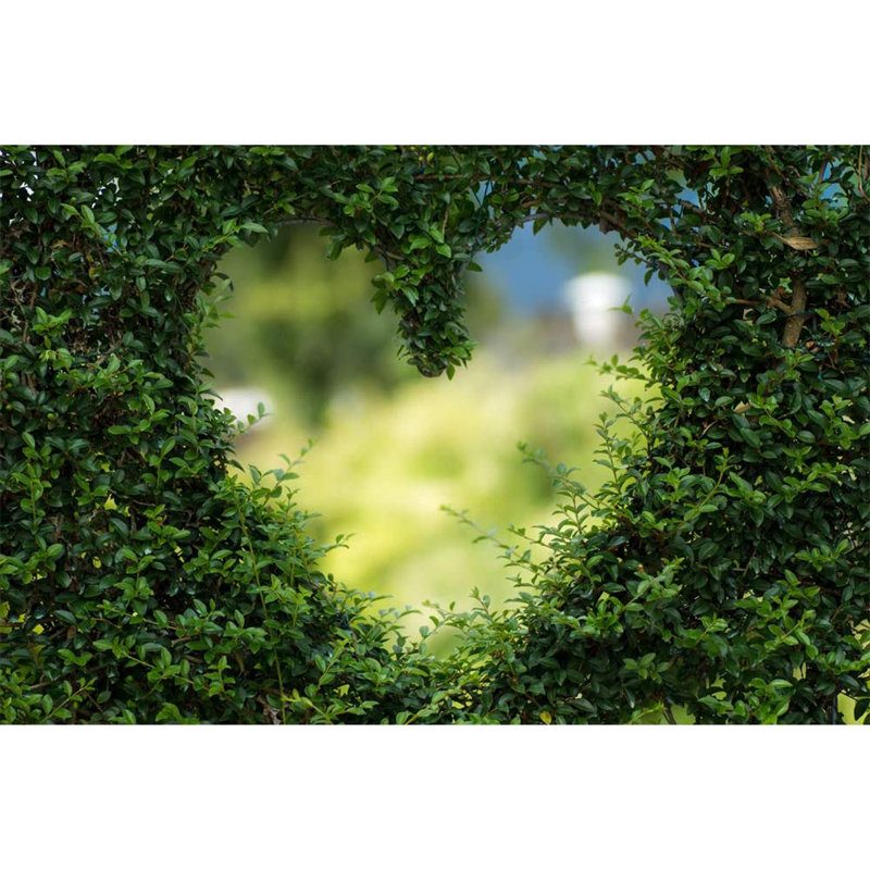 Peel & Stick Border, 5.5' W x 8' L