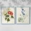 «Flowers of the Seasons I», reproduction encadrée de qualité supérieure - prête à être accrochée - aucun clou requis - aucun clou requis-1810837512-1810837523