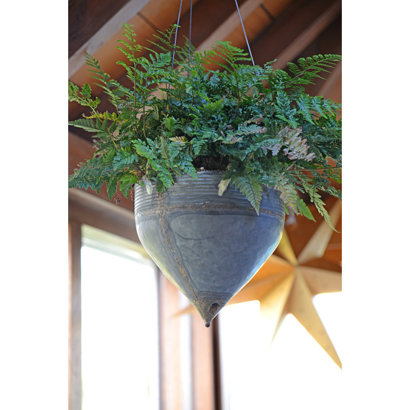 Roscoe Handmade Metal Hanging Planter