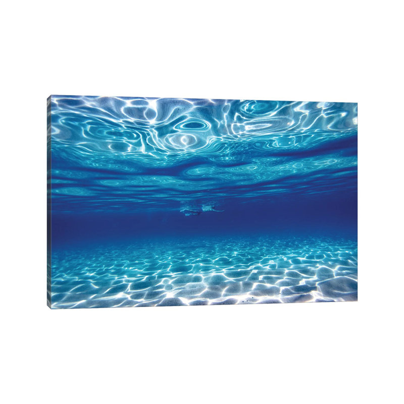 Swim In Blue by Sean Davey - Wrapped Canvas Gallery-Wrapped Canvas Giclée, 45.72 cm H x 66.04 cm W