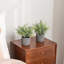 2 - Piece Artificial Plant Set