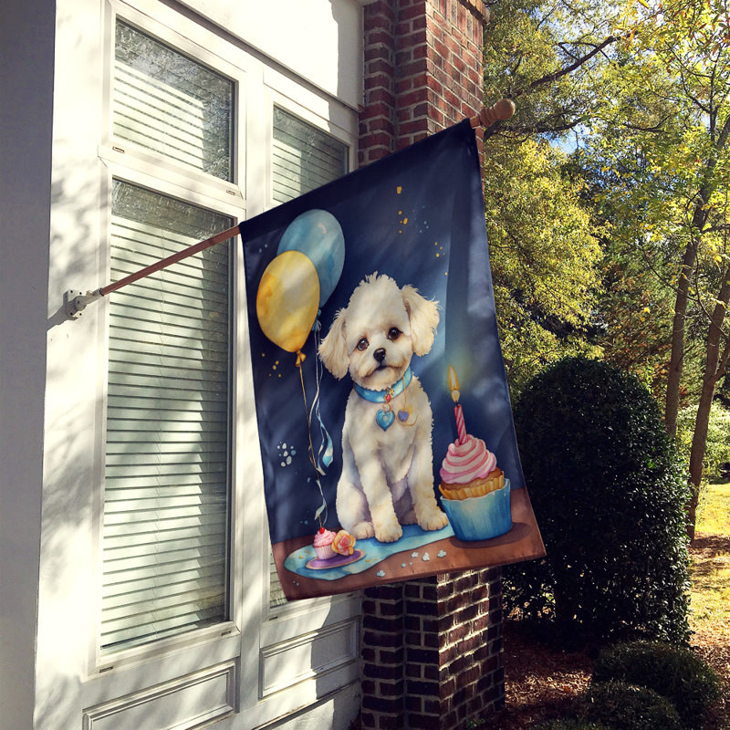 Drapeau «Happy Birthday House», Bichon frisé