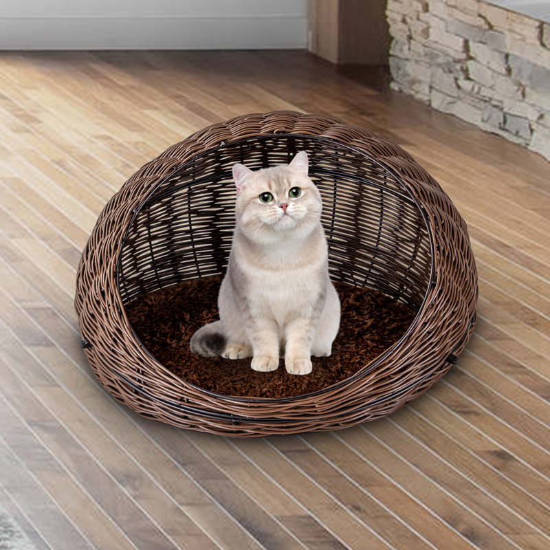 Maison pour chat Eloina