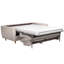 Marotz Sofa Bed with Mattress-460784912