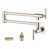 Polished Nickel