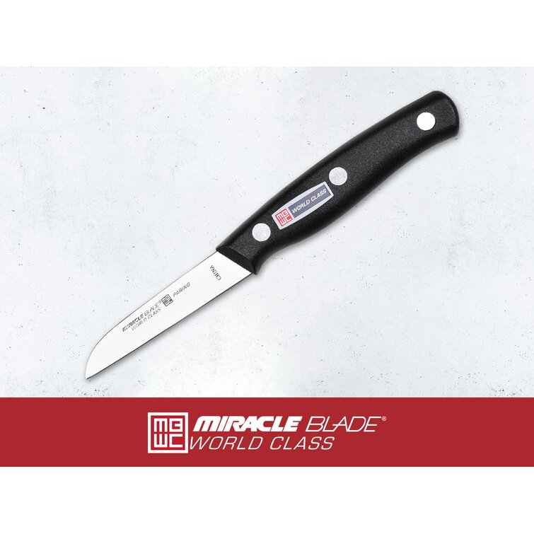 https://assets.wfcdn.com/im/64412790/resize-h755-w755%5Ecompr-r85/1397/139745299/Miracle+Blade+13+Piece+Stainless+Steel+Assorted+Knife+Set.jpg