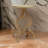 Jeriyah End Table