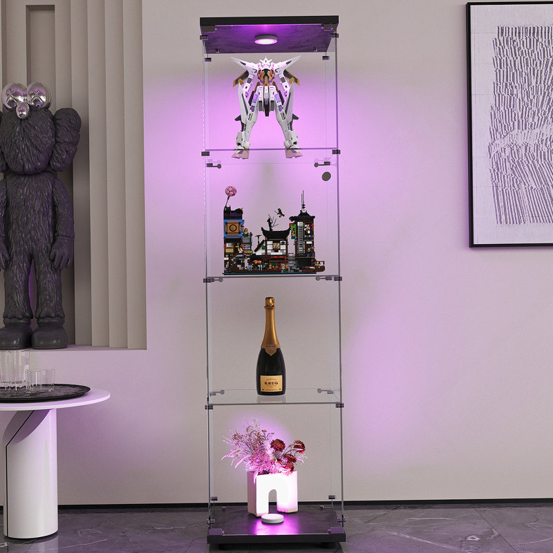 Vitrine à DEL avec 4 tablettes vitrées avec porte et bibliothèque au sol, Noir