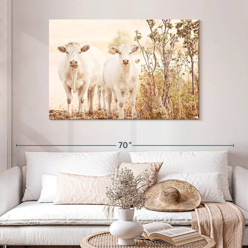 Brampt Charolais Cows, 32" H x 48" W